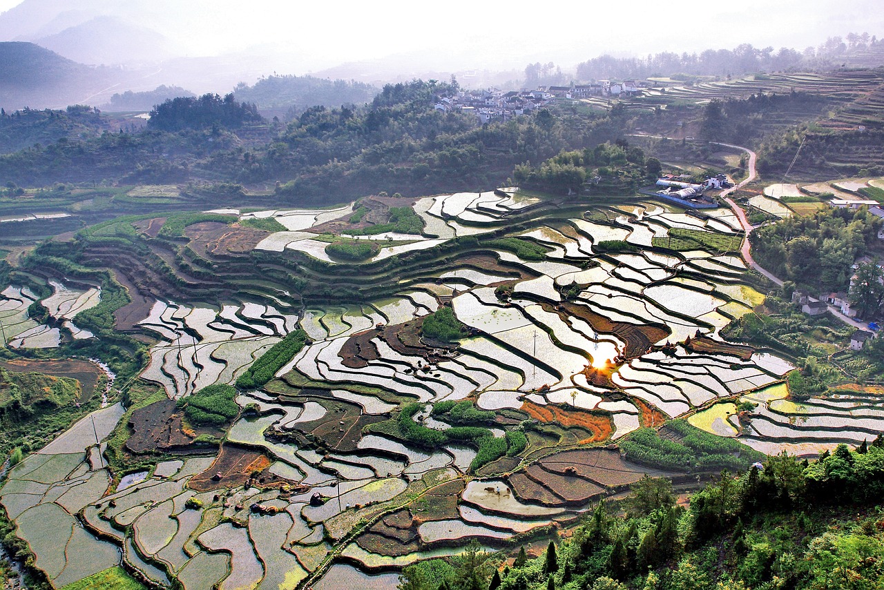 식자재 관련 사진