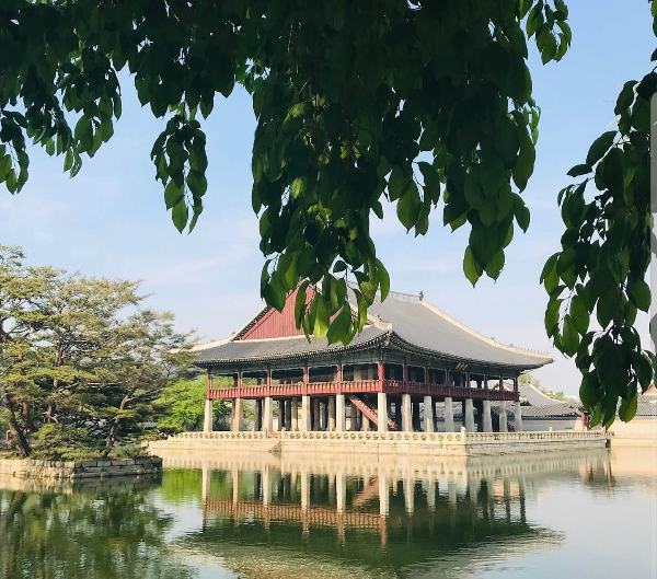 경복궁 야간개장