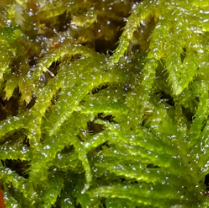 변비에 좋은 음식 해결방법 운동