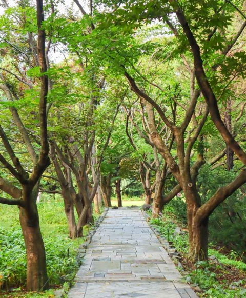 벽초지수목원