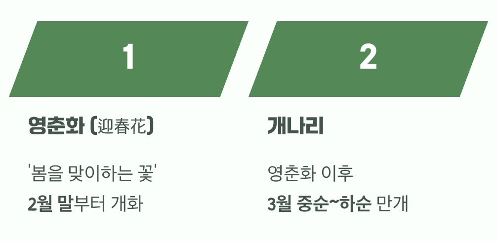 진짜 첫 손님은 따로 있었어요