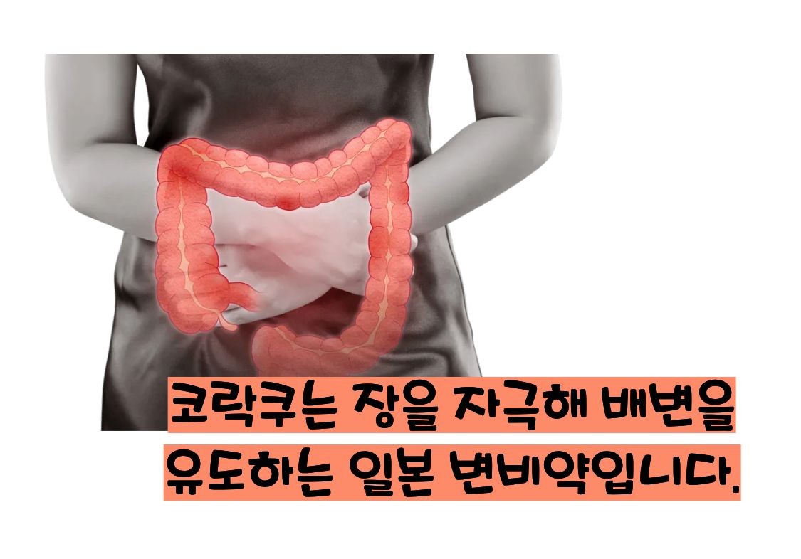 일본 변비약 코락쿠