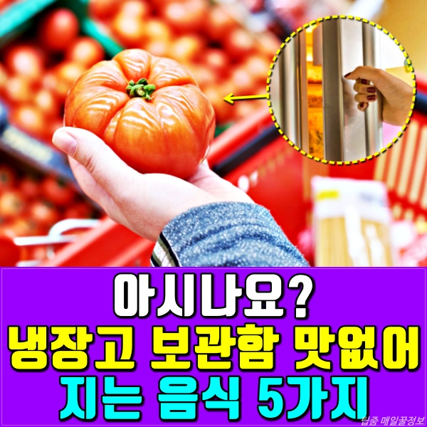 감자 양파 토마토 냉장고 보관해도 되나요