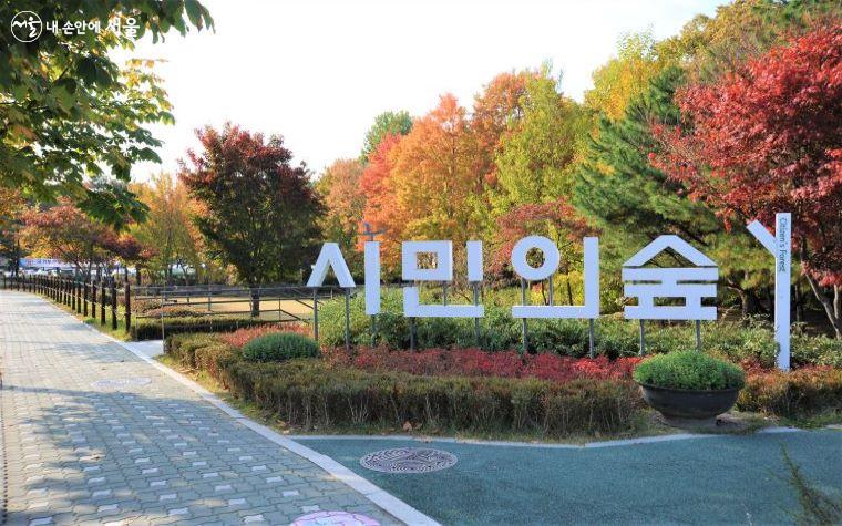 매헌시민의 숲