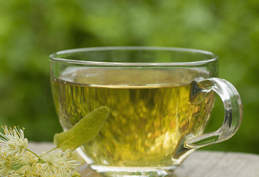 우엉차 효능 10가지 및 부작용