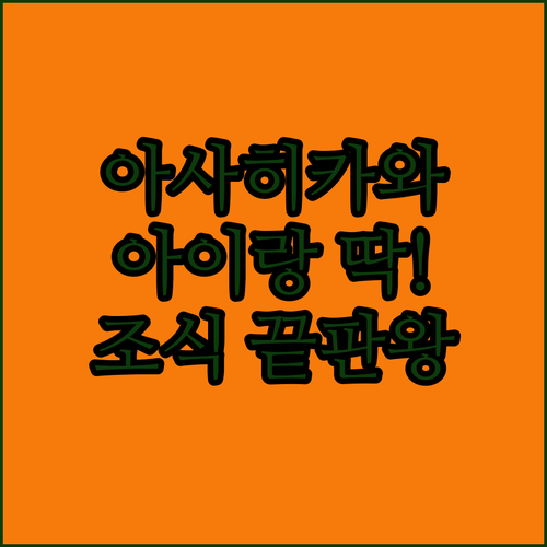아이랑 걷기 편한 아사히카와 상점가 ..