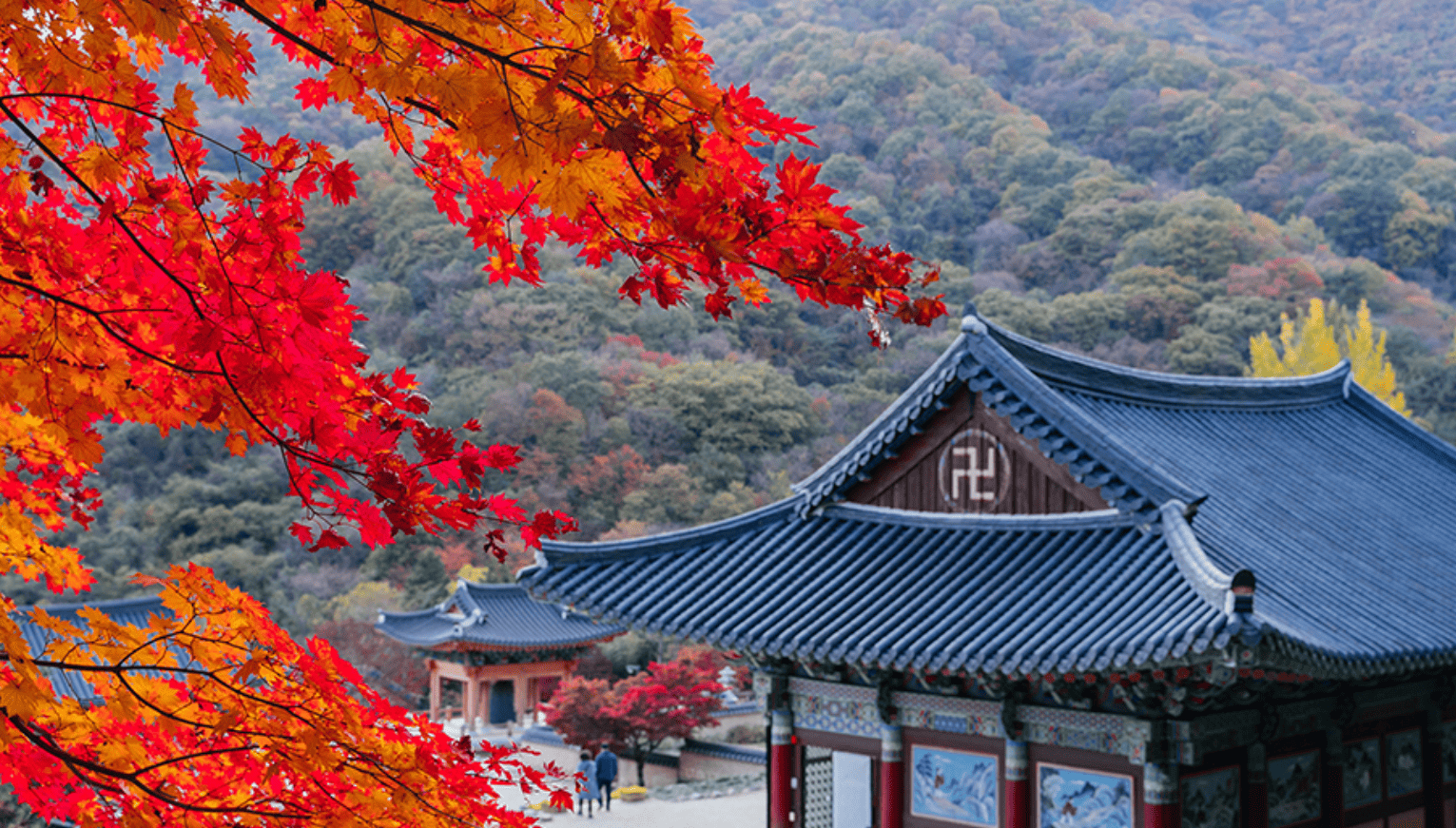 피아골삼홍트레킹