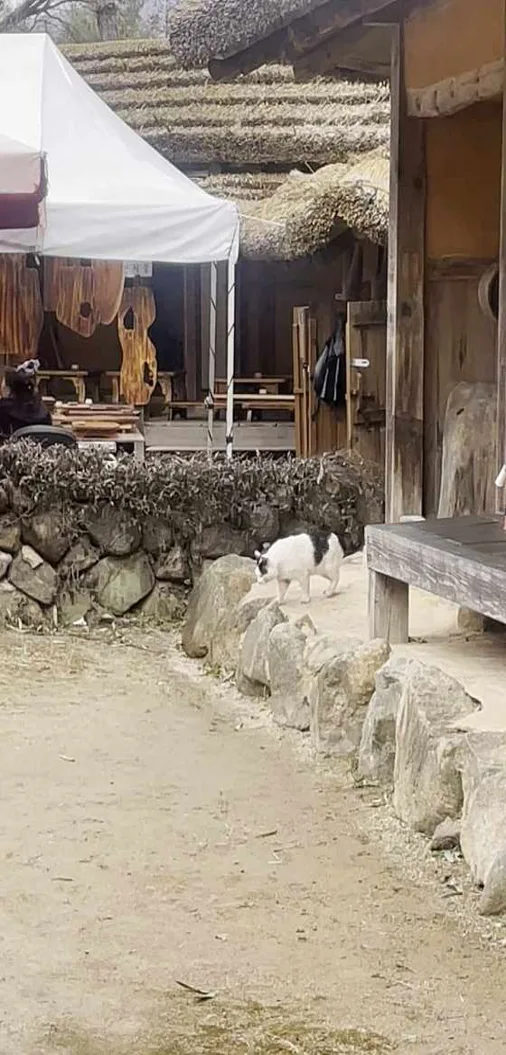 하동군청 최참판댁