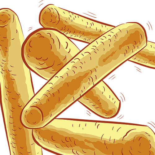 날씬균 다이어트 유산균