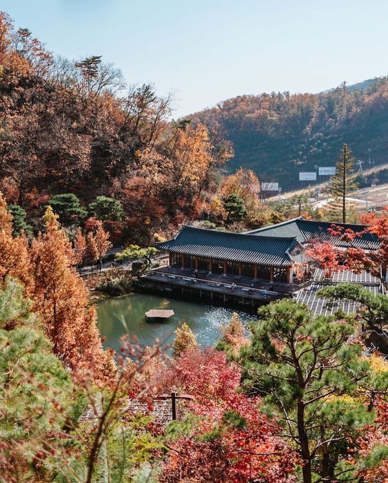 화담숲 가을 모습