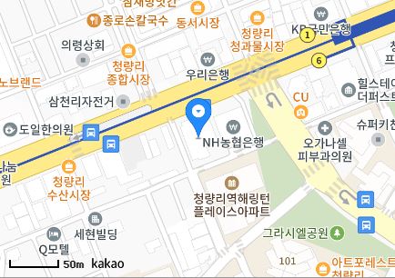 서울시 동대문구 용두동 일요일 진료 휴일 문 여는 병원