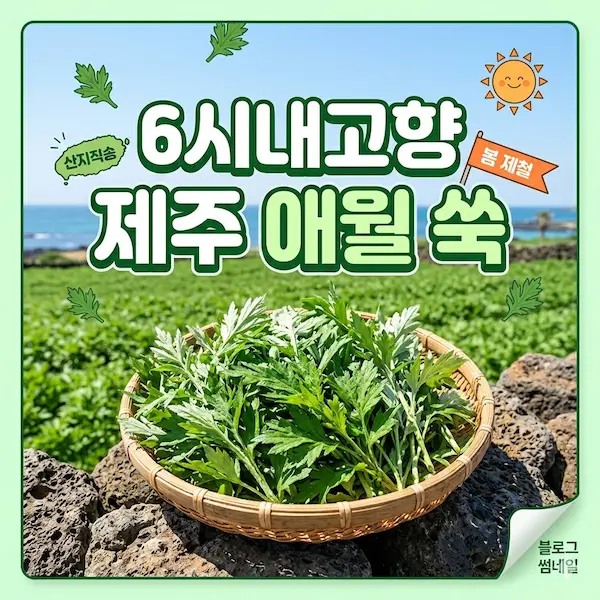 6시내고향 제주 애월 쑥 썸네일