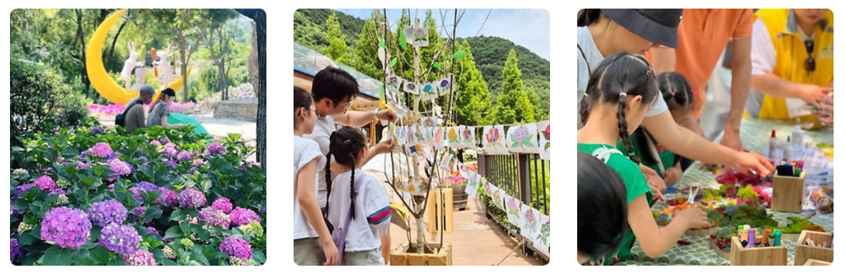 6월 꽃구경 가볼만한곳