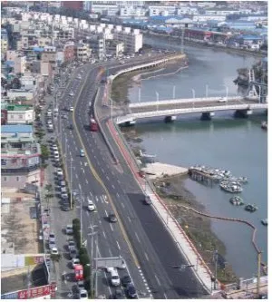 마산 해안도로 5월의 꽃 다정큼나무 산딸나무 해당화_1