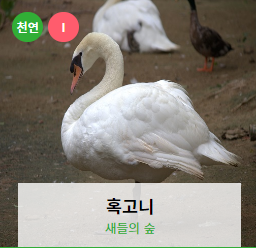 전주동물원