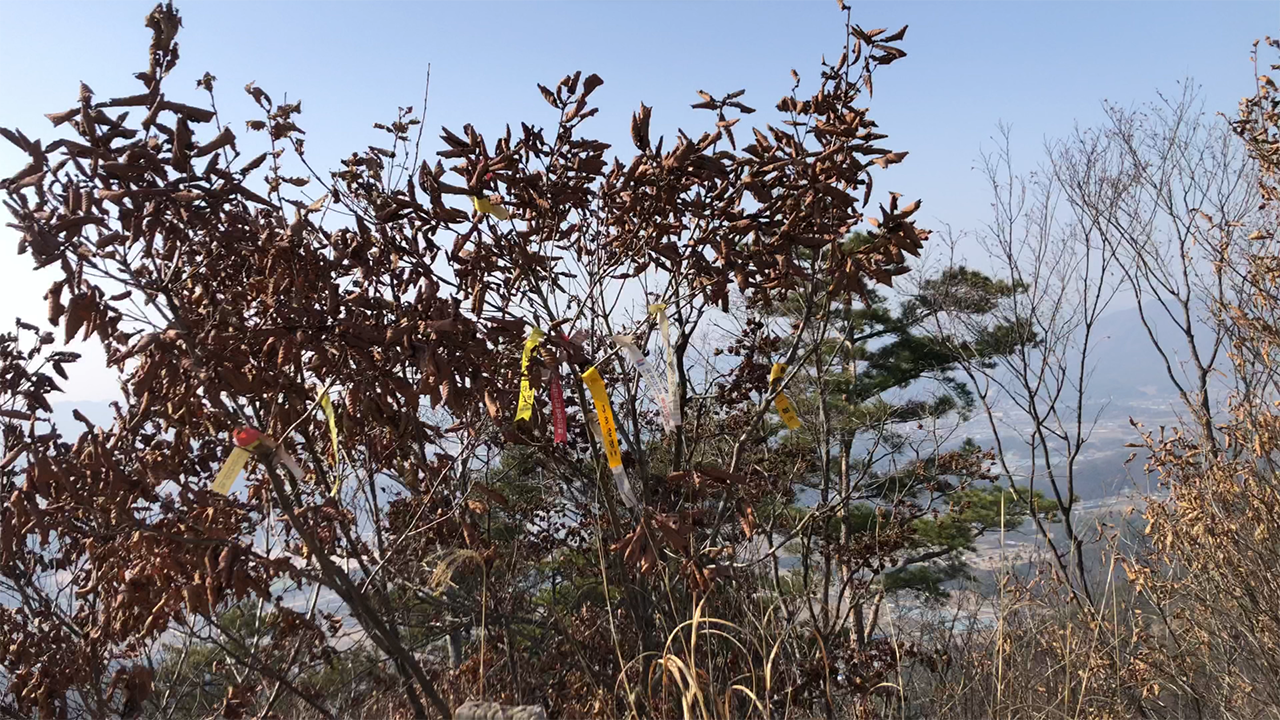 산악회 표시