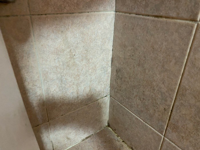 화장실 곰팡이3