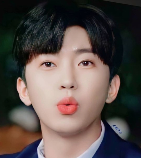 임영웅콘서트 일정표