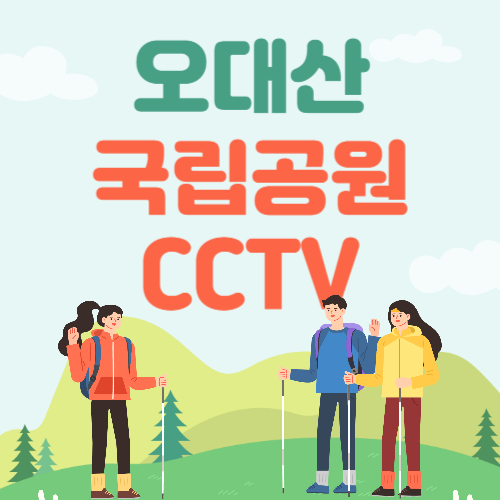 오대산국립공원 두로령 CCTV