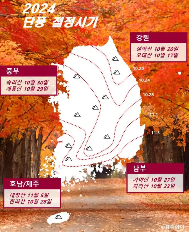 2024-단풍-절정시기-그림