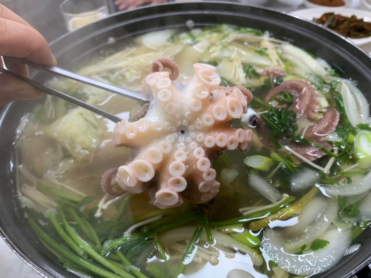 6시내고향 충남 서천 광어요리 맛집 원양호 수산물 온라인 주문