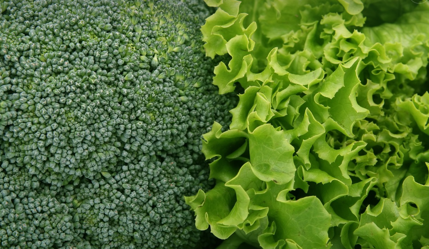 GI지수 관련 음식 사진