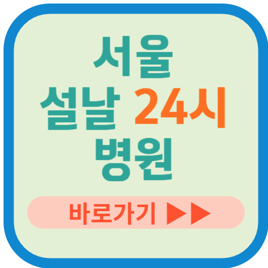 서울 설날 24시 병원