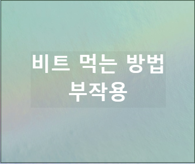 비트 먹는 방법