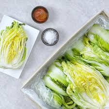 롯데마트 절임배추 예약 2025