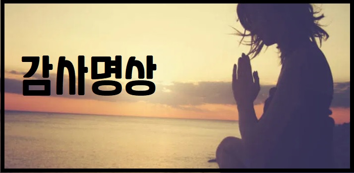감사 명상