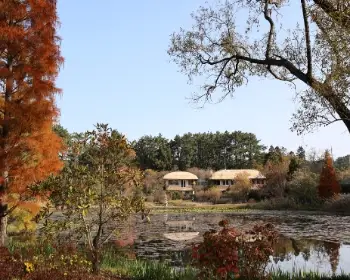 천리포수목원 숙박안내, 목련축제_10