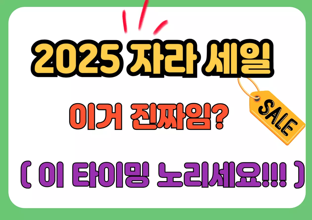 2025 자라 세일, 이거 진짜임? 타이밍 노리세요! 문구가 적힌 유머형 세일 알림 배너