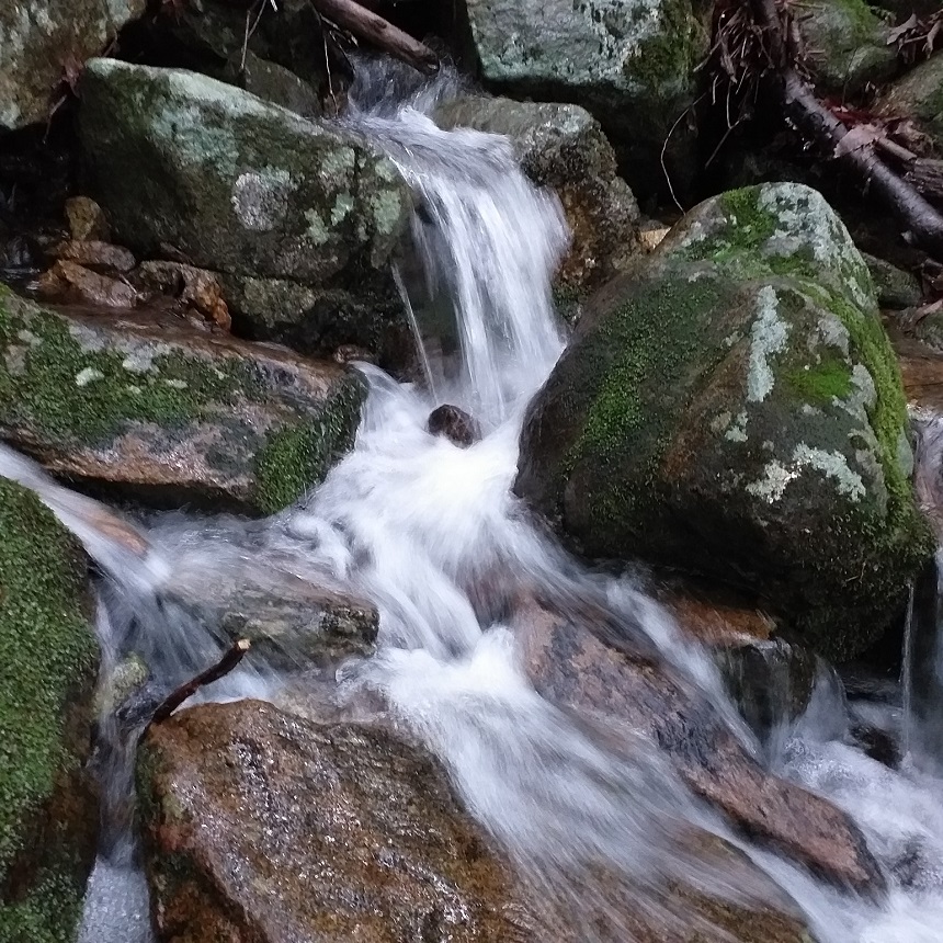 조계산보리밥집