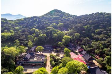 전등사