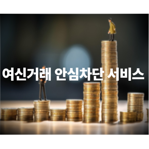 여신거래안심차단서비스