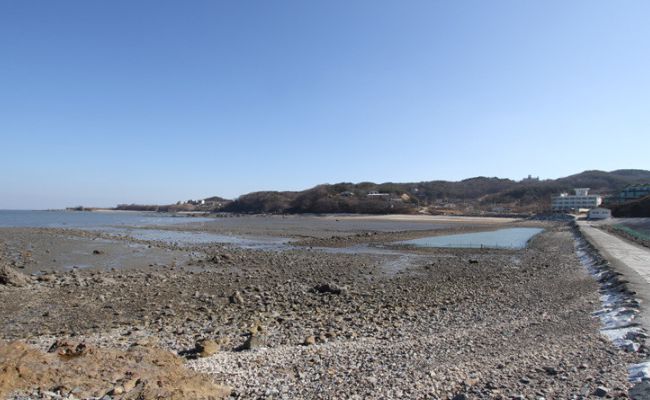 영암어촌계 체험마을