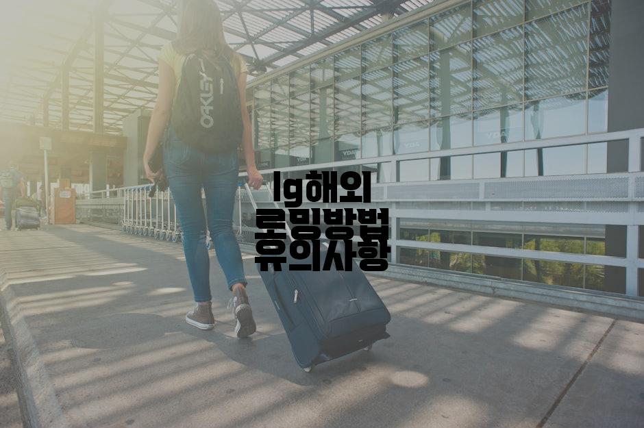 lg해외 로밍방법 유의사항