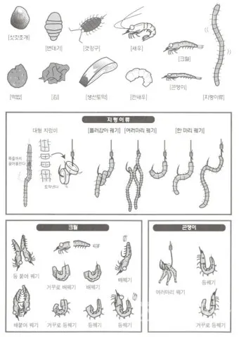 낚시 미끼 선택법 지렁이 옥수수 떡밥 생미끼 활용법_6