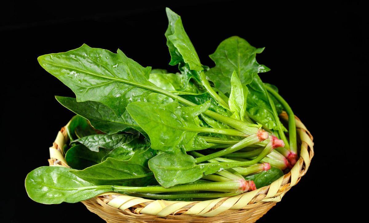 심장에 좋은 음식