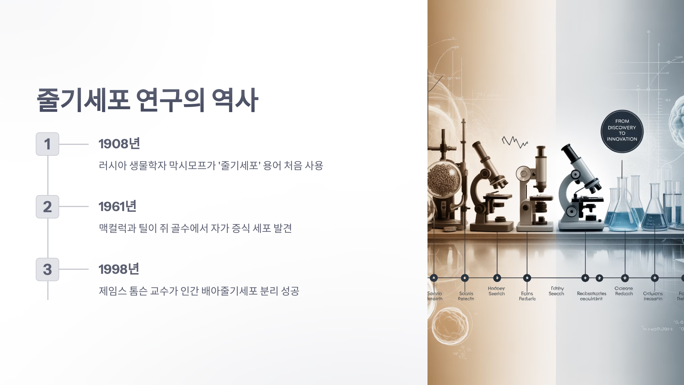 참조-줄기세포-발전과정-3