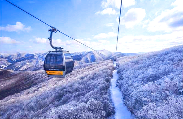 하이원 리조트 리프트권