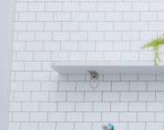 전립선에 좋은 음식