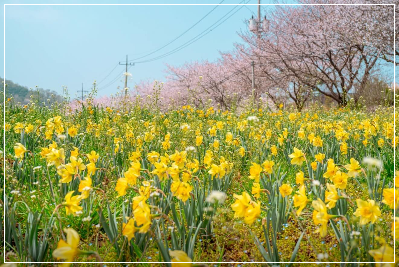 홍성 가볼만한곳 베스트10 홍성 거북이마을