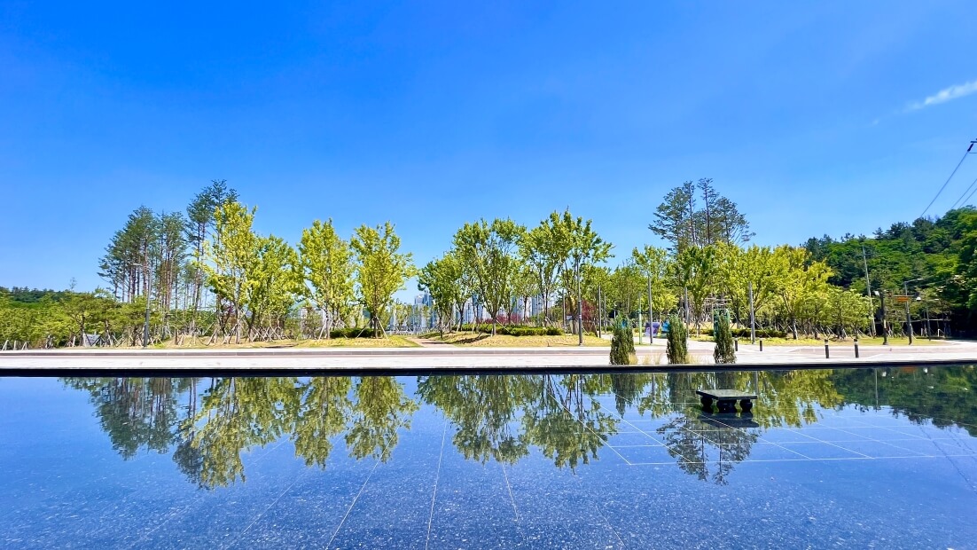 경북 구미 다온숲 수국명소 주차