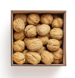 호두 효능과 부작용 하루섭취량 먹는방법 고르는법