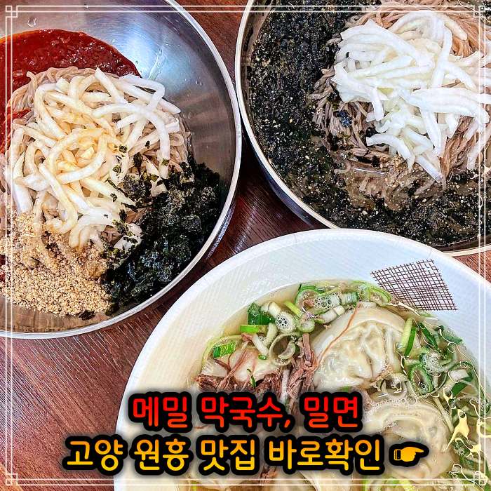 고양 삼송 원흥 맛집 메밀막국수&#44; 밀면