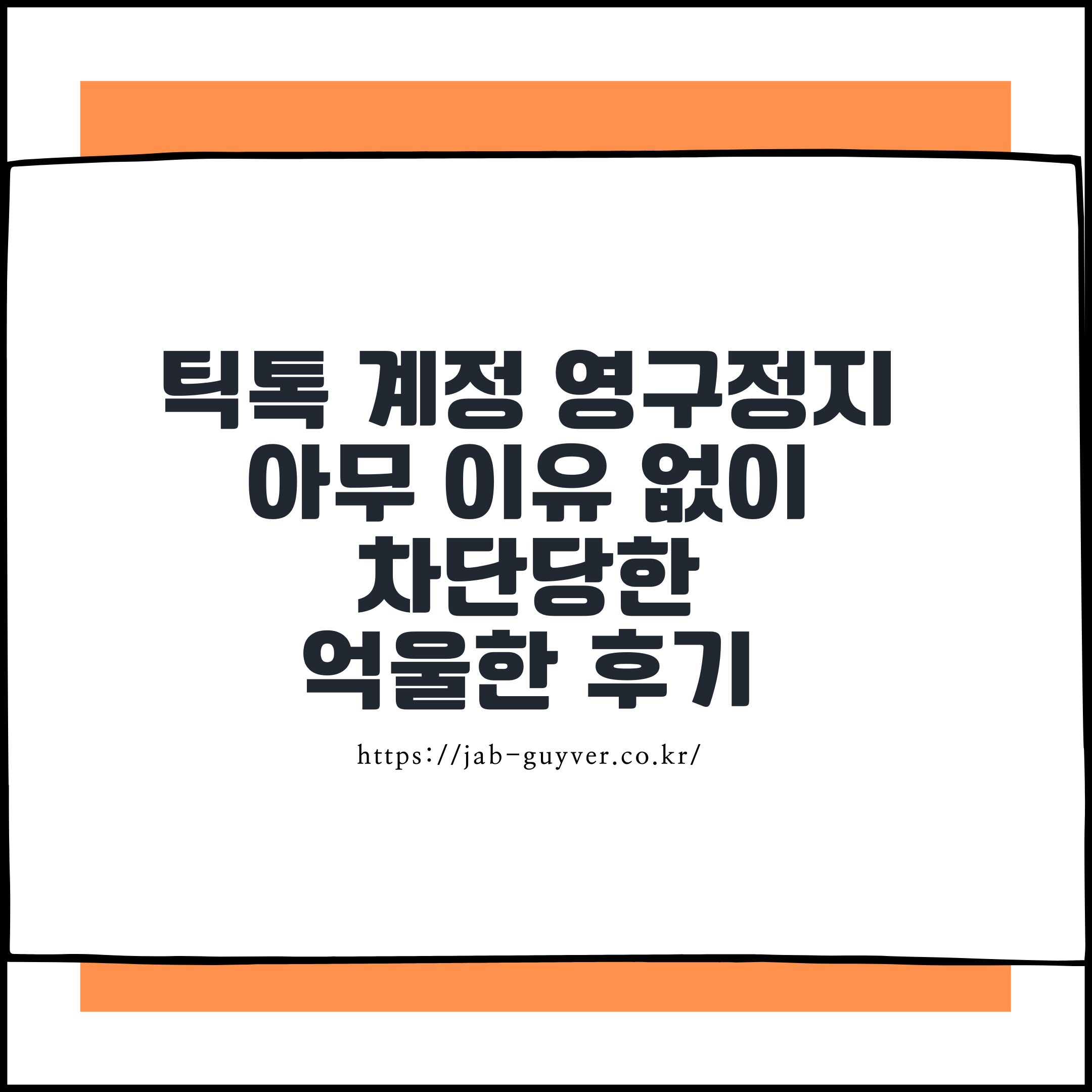틱톡 계정 영구정지 아무 이유 없이 차단당한 억울한 후기