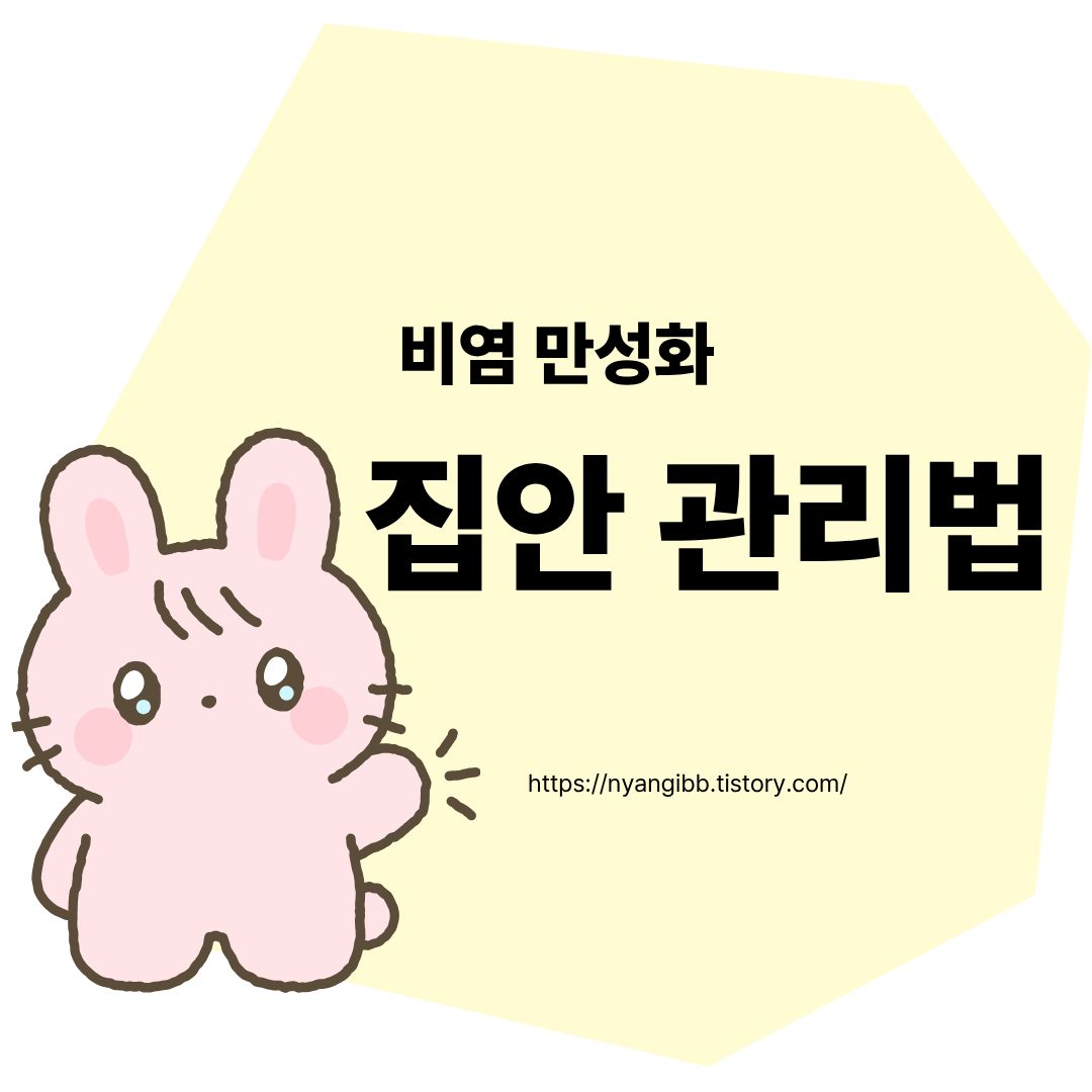 비염 만성화 집안 관리법 관련 사진