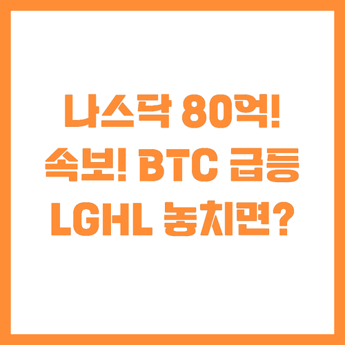 나스닥 상장사 LGHL 800만 달러..