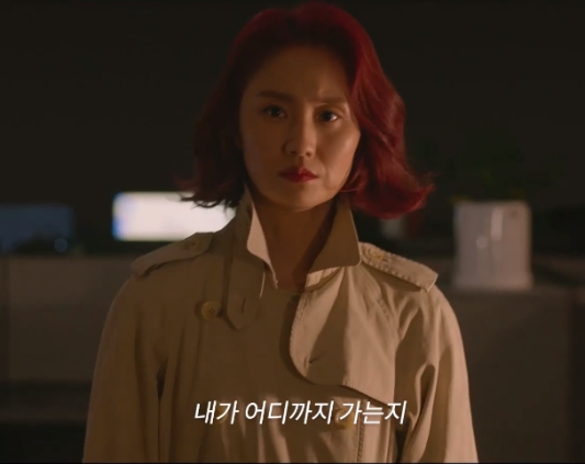 비질란테 등장인물 뜻